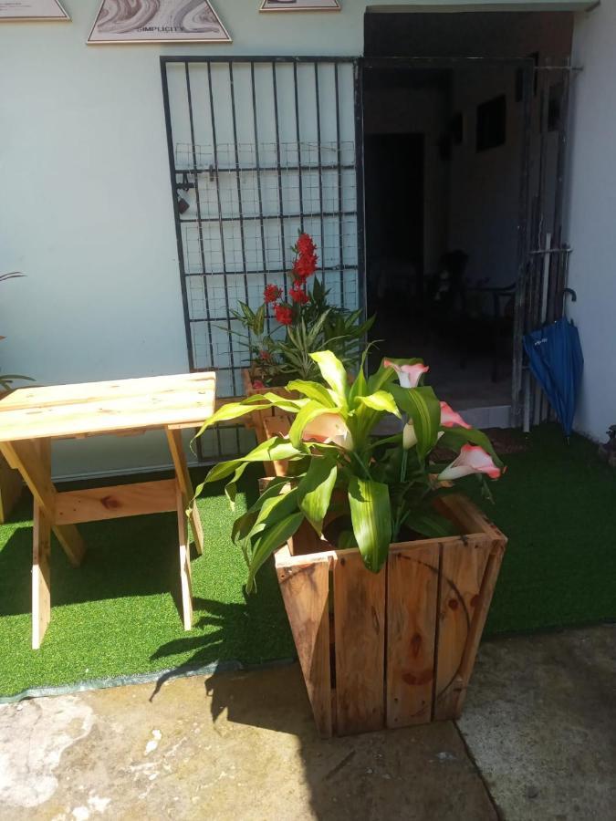 Hostal My House Your House 다비드 외부 사진