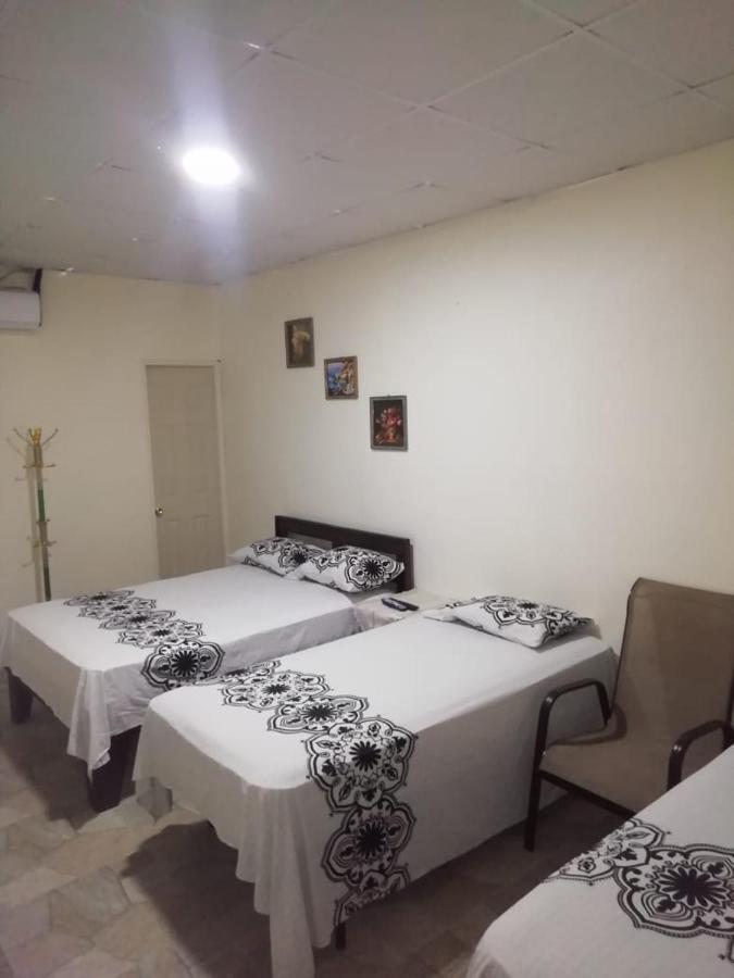 Hostal My House Your House 다비드 외부 사진
